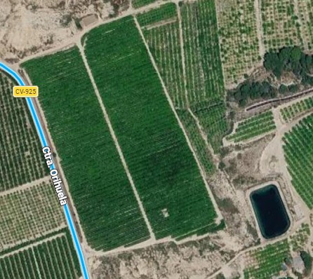 SUBASTA AGRIBUR S.L. FINCAS HURCHILLO